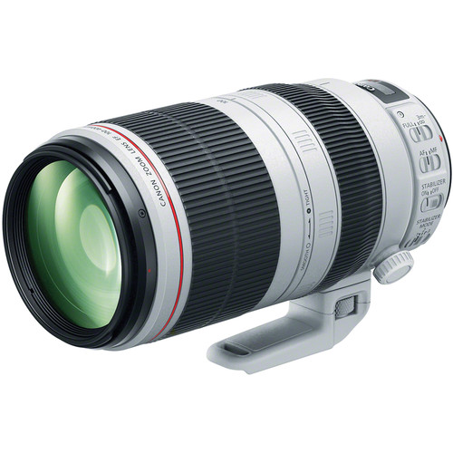 Canon EF 100-400mm f4.5-5.6L IS II