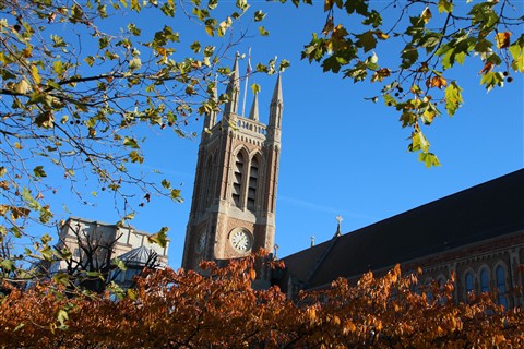 Sigma 18 250mm F3 5 6 3 Dc Macro Os Hsm Lens Sample Images Lens Rumors