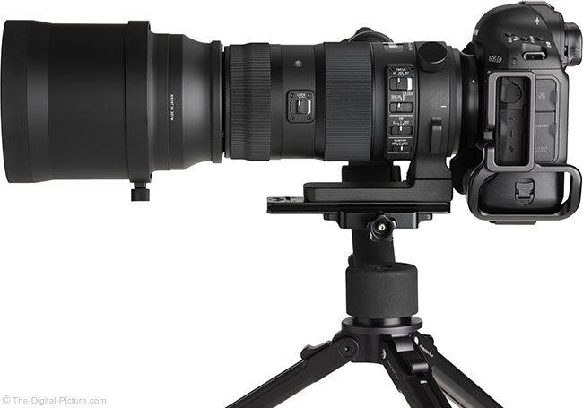 Sigma-150-600mm-Sports-Lens-review