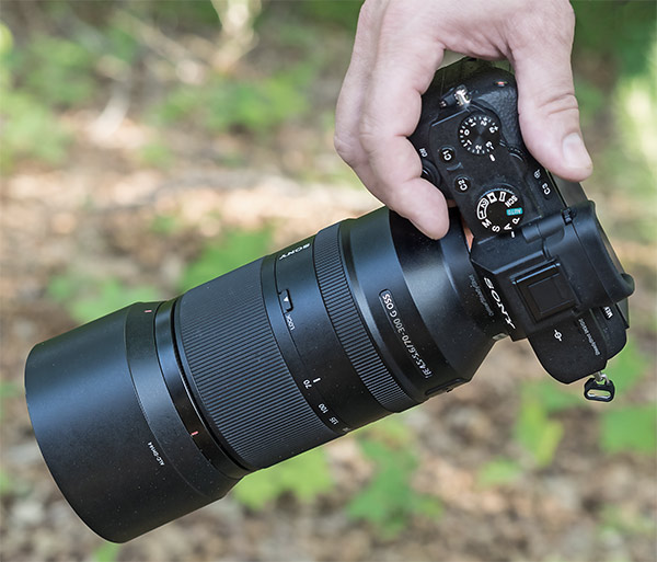 Sony FE 70-300mm lens review7 imaging-resource