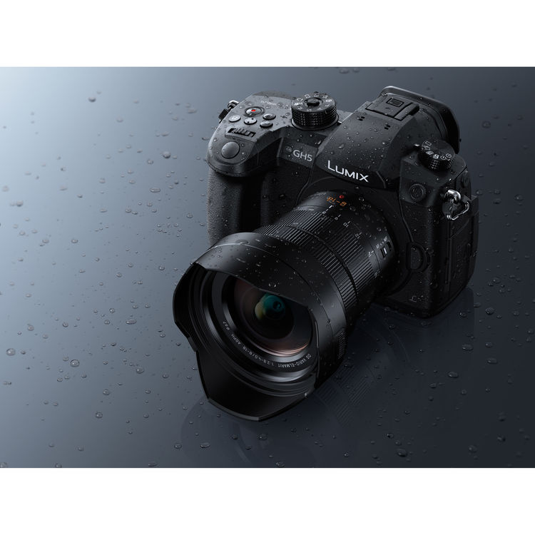 Panasonic Leica DG Vario-Elmarit 8-18mm F2.8-4.0 ASPH lens