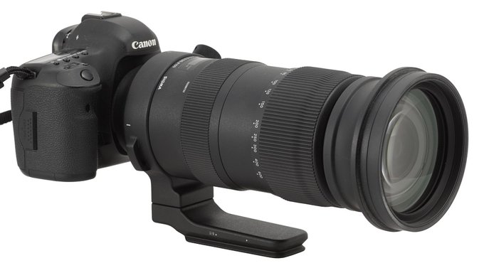 Sigma 60-600mm F4.5-6.3 DG S lens on 5D Mark III