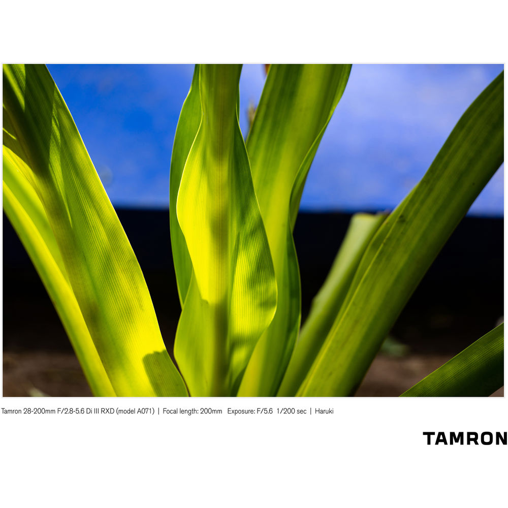 Tamron 28-200mm f 2.8-5.6 Di III RXD sample images2 | Lens Rumors